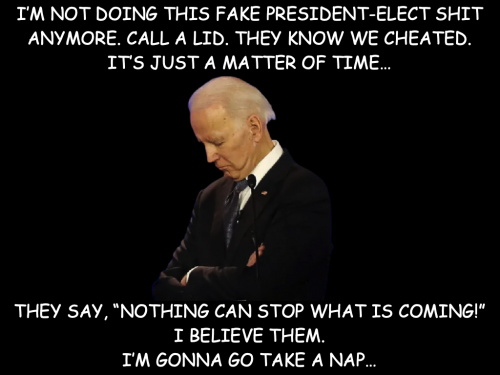 Biden_Fake_President-Elect.png