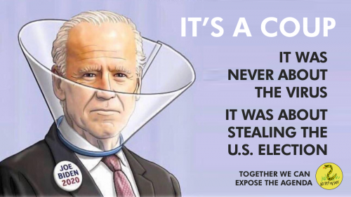 Biden_Virus_Coup_Stealing_Election.png