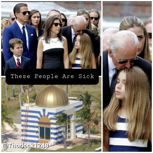 Biden_These_People_Are_Sick.jpg