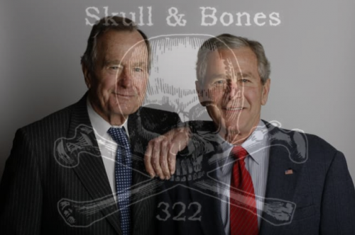 Skull_and_Bones_322_Bushes.png