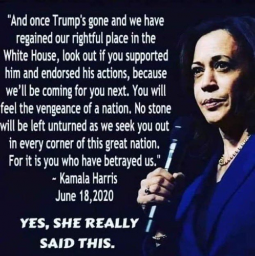 Kamala_Coming_For_You_Next.png