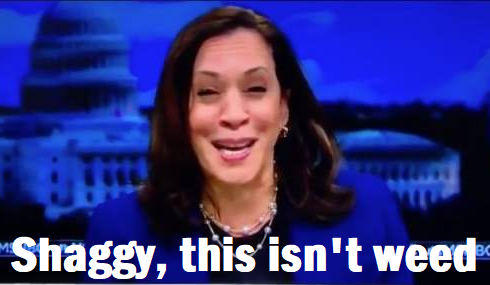 Kamala_Shaggy_This_Isn-t_Weed.png