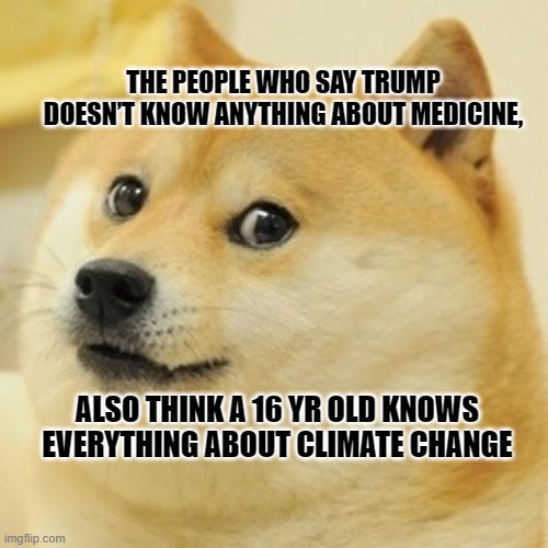 trump-thunberg.jpg
