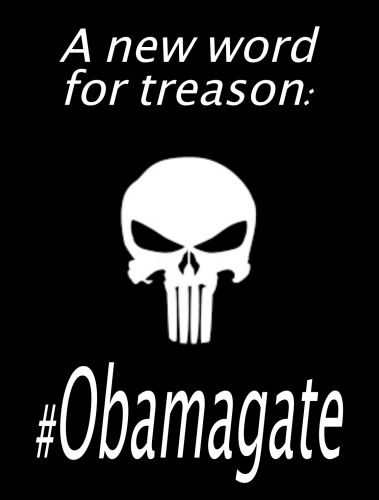ObamaGate_New_Word_For_Treason_Punisher.png