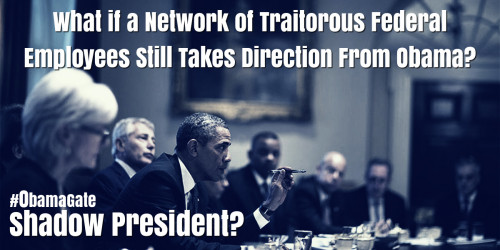 ObamaGate_Shadow_President.jpg