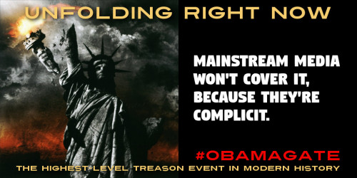 ObamaGate_Unfolding_MSM_Treason.jpg