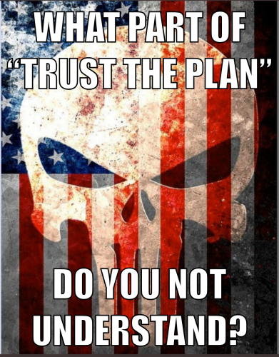 Punisher_What_Part_Of_Trust_The_Plan_Not_Understand.png