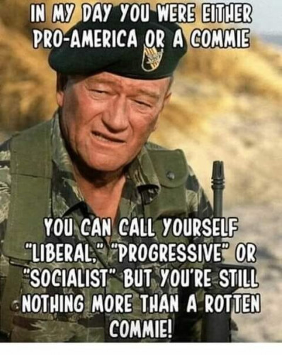 Pro-America_or_Rotten_Commie.jpg