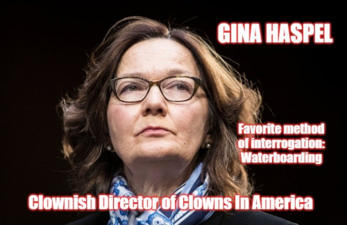 CIA_Gina_Haspel_clown.jpg