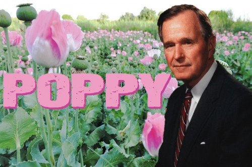 george_bush_sr_poppy.jpg
