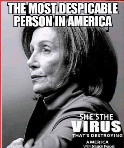 Nancy_Pelosi_Most_Despicable_Virus.jpg