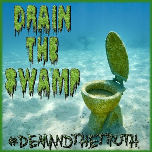 Drain_The_Swamp_Toilet.jpg