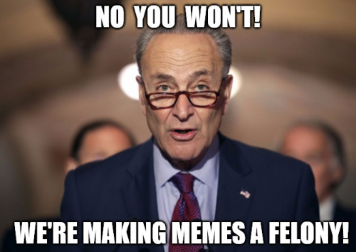 Schumer_Making_Memes_A_Felony.png
