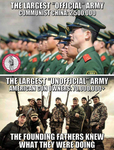 China_2-5M_USA_70M_Gun_Owners.jpg