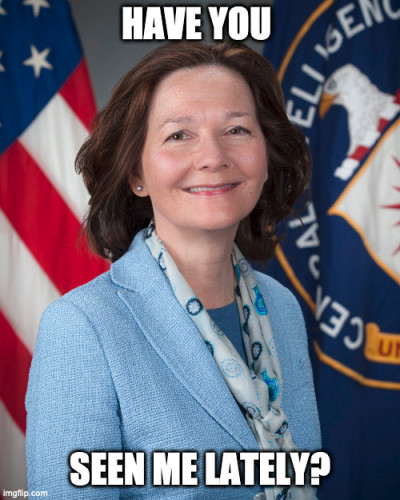 Gina_haspel_have_You_seen_me_lately.jpg