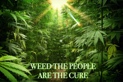Weed_The_People_Are_The_Cure.jpg