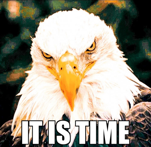 It_Is_Time_Eagle.jpg