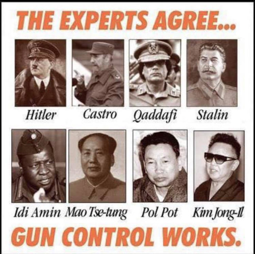 Gun_Control_Experts.jpg