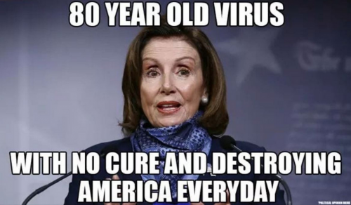 Pelosi_Virus.png