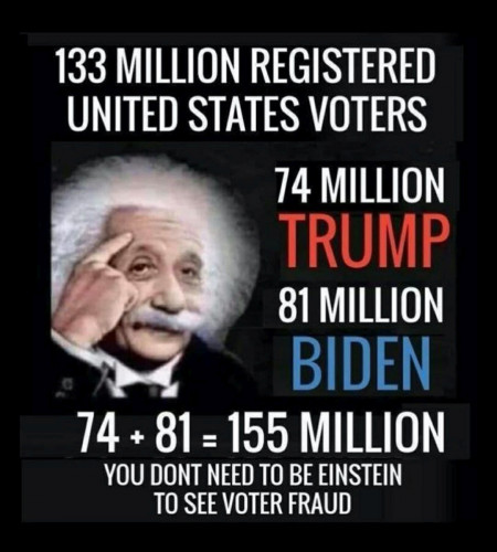 2021_Voter_Fraud_155M_2.jpg