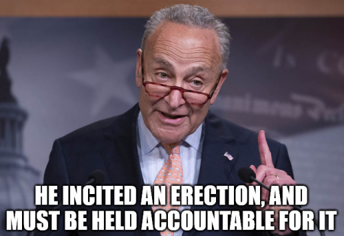 Schumer_Incited_Erection.png