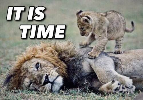It_Is_Time_Lion_Cub.jpg