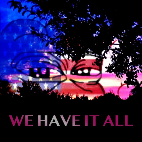 We_Have_It_All_Pepe.jpg