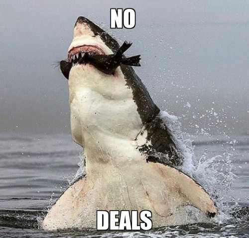 No_Deals_Shark.jpg