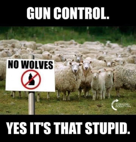 Gun_Control_Sheep_No_Wolves.jpg