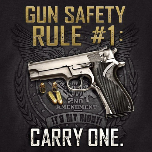Gun_Safety_Rule_No1_Carry_One.jpg