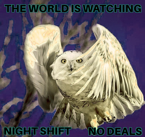 The_World_Is_Watching_Owl_No_Deals.jpg