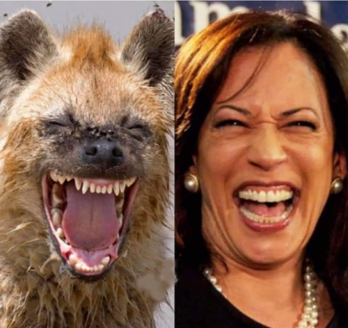 Kamala_Harris_Hyena.png