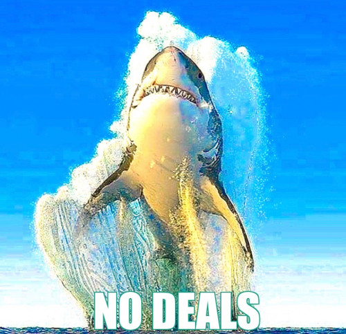 No_Deals_Shark_2.jpg