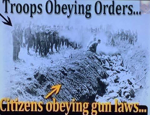 Citizens_Obeying_Gun_Laws.jpg